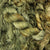 Auxanometer-Metallic Olive