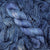 Auxanometer-Blueberry