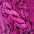 Auxanometer-Raspberry Beret