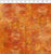 Halcyon-Pumpkin