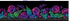 Vivid-Border-Multi