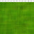Interwoven-Green