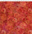 Allure-Exotic-Red/T