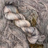 Auxanometer-Oyster Shell