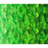 Horizons-Ombre Wave-Kelly Green
