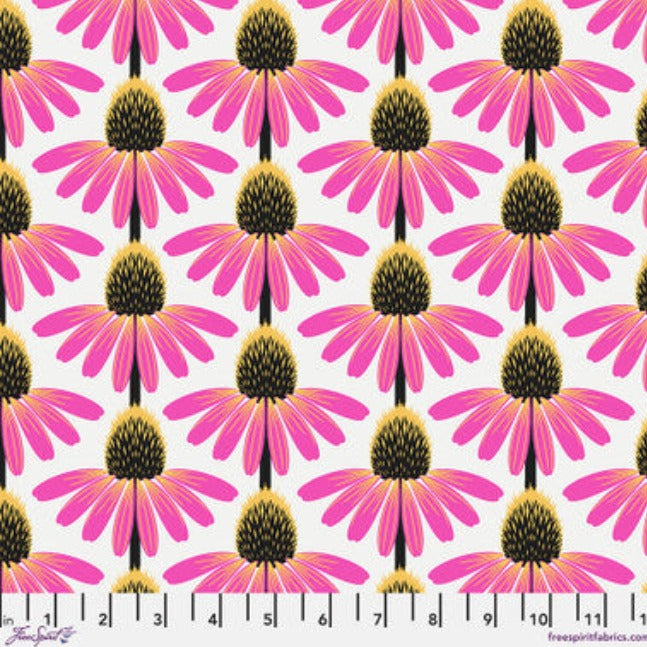 Echinacea