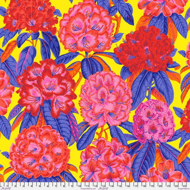 Rhododendrons
