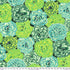 Picotee Carnations-Green