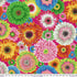 Gerbera Daises-Bright