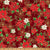Blooming Holidays-Scarlet/Gold