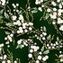 Christmas Wish-Forest/Gold
