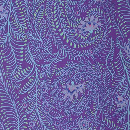 Ferns
