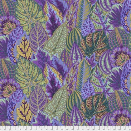 Coleus