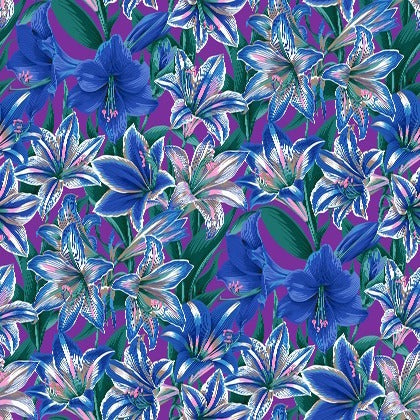 Amaryllis