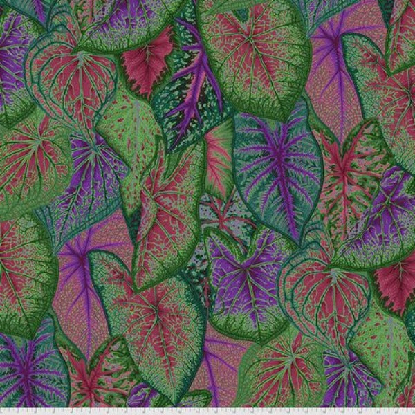 Caladiums